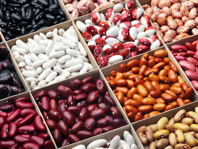 S-a infiintat Banca de Resurse Genetice Vegetale pentru Legumicultura, Floricultura, Plante Aromatice si Medicinale Buzau