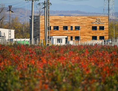 Cea mai mare plantatie de afini bio din Romania a obtinut o finantare in valoare de 10,5 milioane de lei