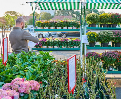 A inceput primul targ de plante, organizat in parcarile magazinelor Kaufland Romania