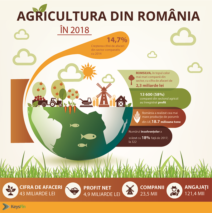Agricultura in Romania 2018 KeysFin