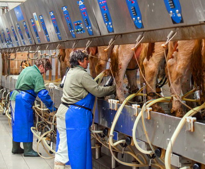 CCE verifica masurile exceptionale de pe piata laptelui si a produselor lactate