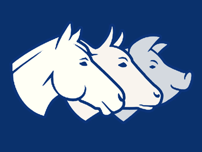 Informatii utile privind ecarisarea animalelor