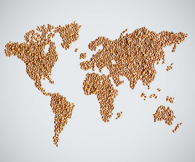 Viitorul sectorului agroalimentar intr-o economie globala marcata de tensiuni protectioniste | Analiza Coface
