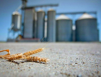 ROCA devine actionar pentru unul dintre principalii traderi zonali de cereale: RDF Arad