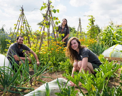 Ziua Carierei la USAMV Cluj-Napoca, editia a II-a, in 19 noiembrie 2019
