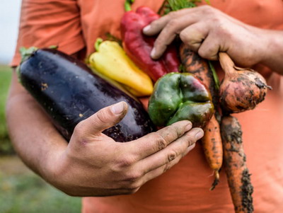 Modalitati inovatoare in agricultura si lanturi de aprovizionare agro-alimentare promovate prin Initiativa Nod Verde