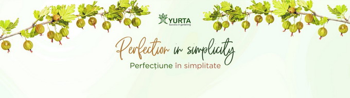 Yurta concept stand