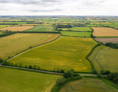 Alternative la pesticidele chimice prin noi tehnologii si solutii agroecologice