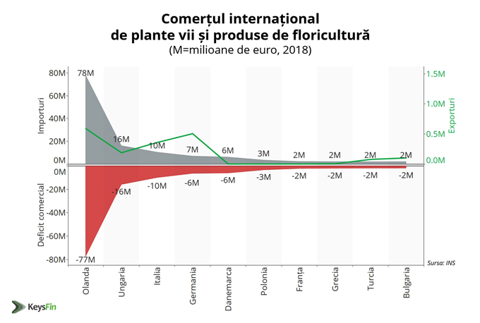 Business-urile din domeniul floral - Comert international flori