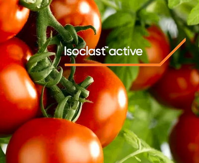 Combaterea inovativa a daunatorilor: Isoclast™ activ asigura rentabilitatea culturilor-cheie din agricultura europeana