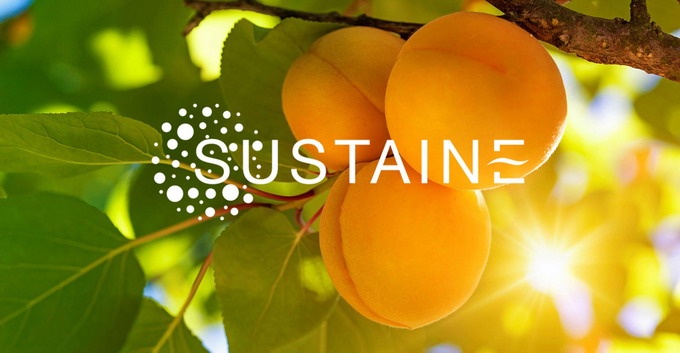 Corteva Agriscience va evalua utilizarea capsulelor fara continut de plastic - Sustaine