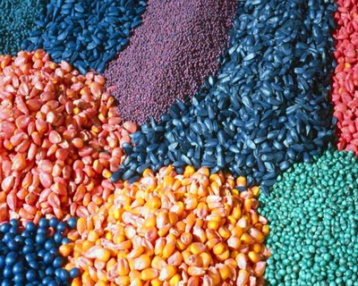 Pesticide: Precizari privind autorizatiile de urgenta pentru produsele pe baza de neonicotinoide