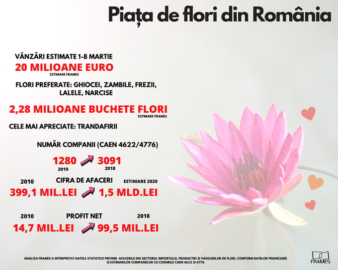 Piata florilor din Romania 2020 - Analiza Frames