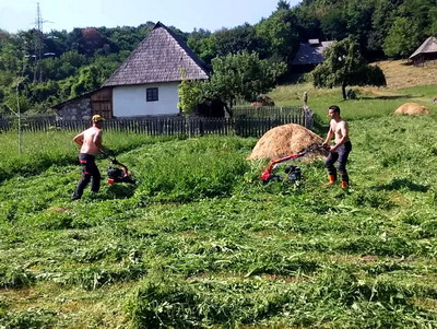 Alegerea motocoasei potrivite nevoilor fiecarui gospodar