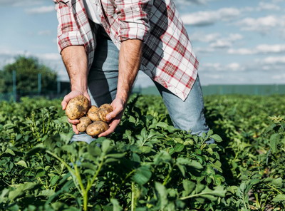 Lieto si Click Pro – 2 produse noi lansate de Summit Agro Romania pentru sprijinirea fermierilor