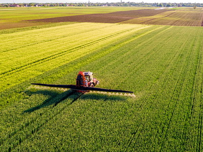 Combaterea bolilor foliare la cereale paioase