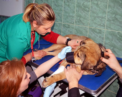 Prima editie a Congresului International de Medicina Complementara | USAMV Cluj-Napoca