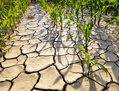 Clubul Fermierilor Romani urmareste cu interes imbunatatirea permanenta a proceselor si procedurilor care sustin cresterea nivelului de performanta a afacerilor fermierilor - Propuneri pentru ghidul AFIR - Submasura 17-1