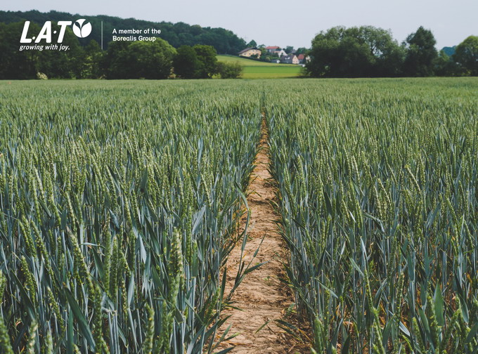 Plan de fertilizare cultura de grau - prima aplicare