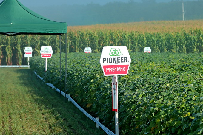 Soia - planta minune pentru agricultura romaneasca - Hibrizii Pioneer