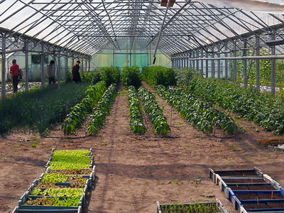 Combaterea bolilor si daunatorilor in spatii protejate