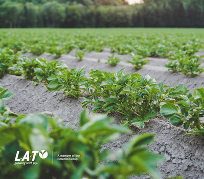 Utilizarea eficienta a ingrasamintelor pentru cultivarea plantelor