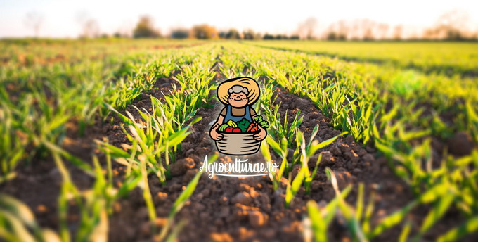 agroculturae-ro