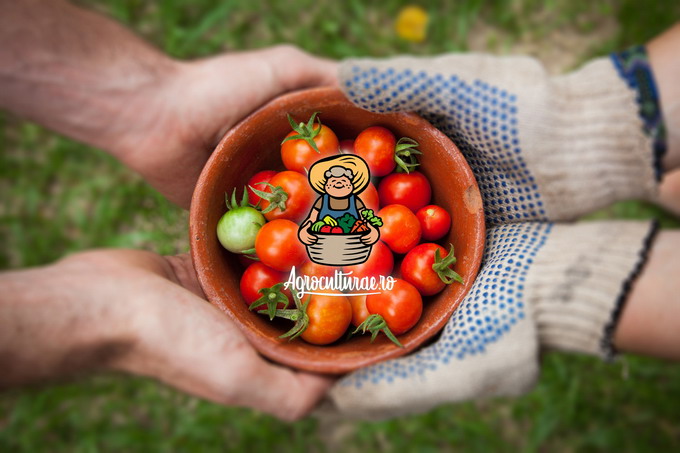 agroculturae-ro - producatori