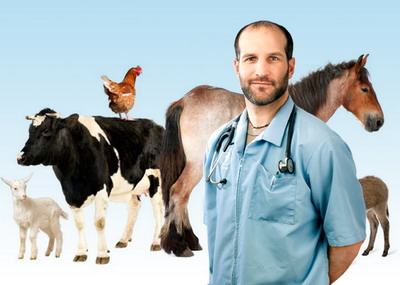 15 Mai – Ziua Nationala a Medicului Veterinar