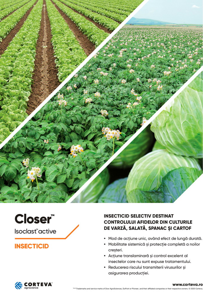 Combaterea afidelor din cultura de cartof - insecticid Closer