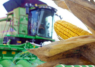 Green Deal: Producatorii de porumb doresc sa serveasca cetatenii europeni, dar nu in directia descresterii