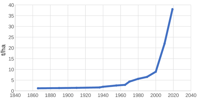 Istoria porumbului - grafic