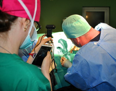 Prima operatie veterinara transmisa online, asistata de studentii de la Medicina Veterinara USAMV Cluj-Napoca