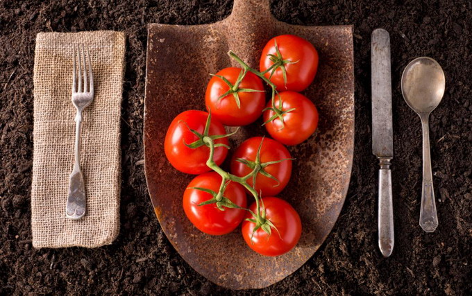 Strategia De la ferma la consumator - Comisia Europeana