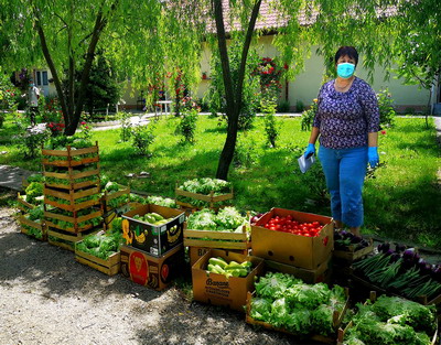 BASF a ajutat fermierii sa-si valorifice produsele online