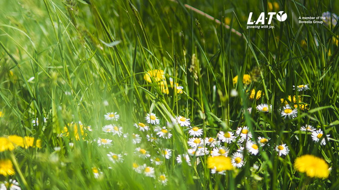 CC Borealis LAT - pasuni si fanete