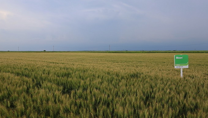 Corteva Agriscience Portfolio Farm Semlac