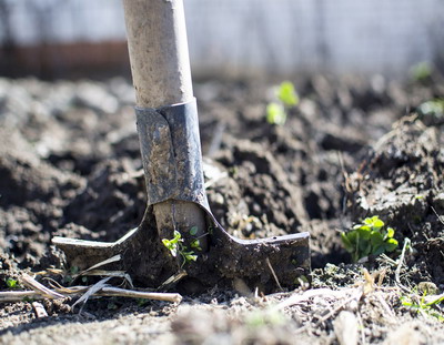 Europa a pierdut 30% din forta de munca din agricultura