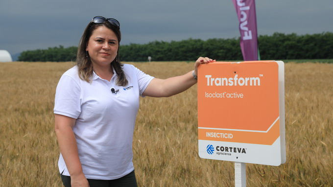 Portfolio Farm in judetul Neamt - Ana Pascariu