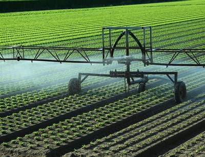 UE evalueaza impactul politicii agricole asupra utilizarii durabile a apei