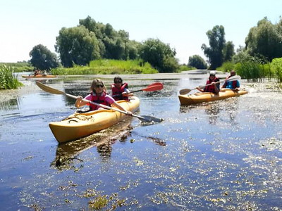 Ecoturism in cea mai sigura destinatie turistica – Delta Dunarii