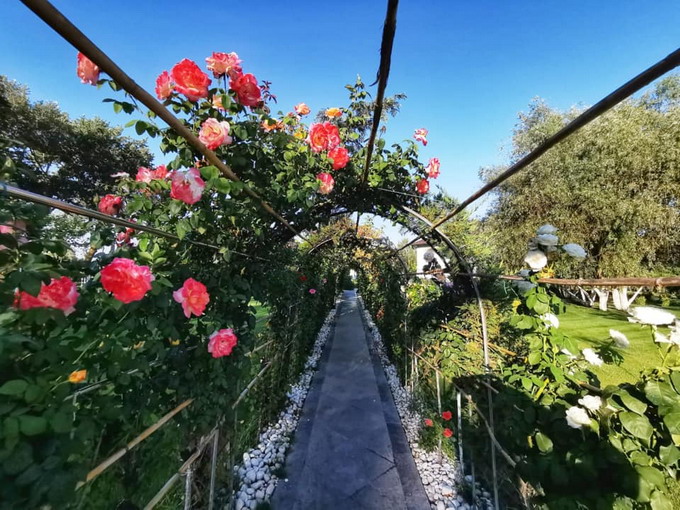 Ecoturism in cea mai sigura destinatie turistica - Delta Dunarii - foto4