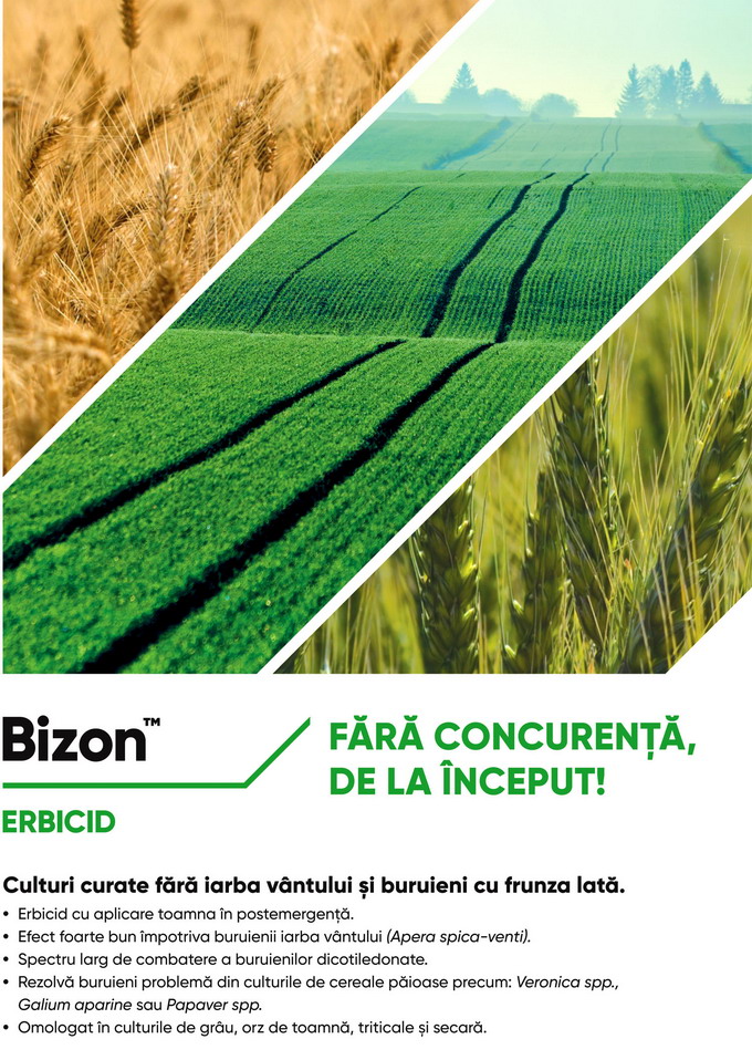 Erbicidarea de toamna devine o necesitate - erbicidul Bizon de la Corteva