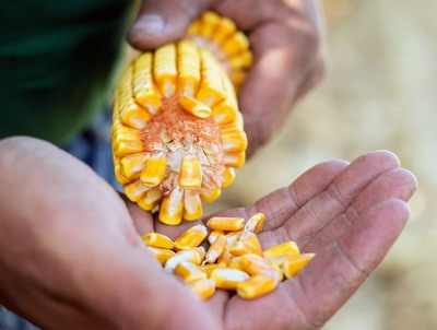 Portfolio Farm a ajuns in judetul Vaslui