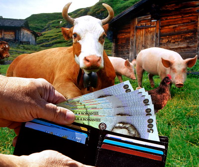 Sprijin financiar pentru crescatorii de bovine, porcine, pasari si albine in contextul Covid 19