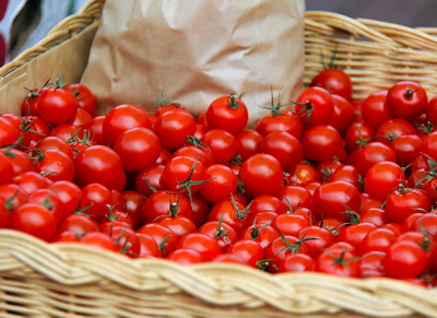 InfoCons lanseaza numarul scurt 0219615 dedicat informarii in domeniul risipei alimenare