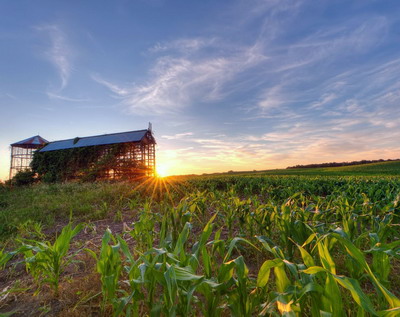 UNCSV: Asigurarile agricole o necesitate pentru toti partenerii din agribusiness