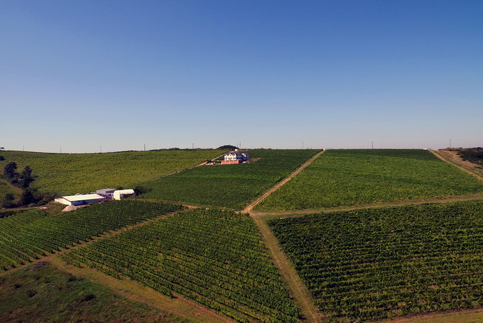 Crama Dealul Dorului - Podgoria Dealul Dorului