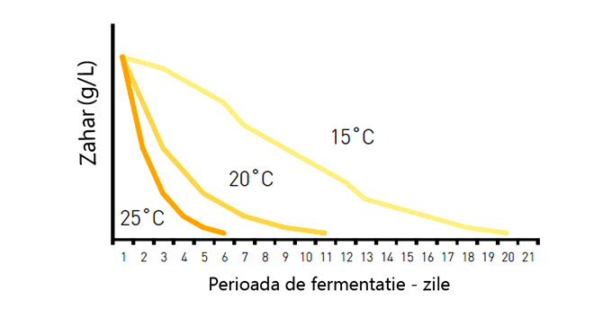 Drojdie pentru vin - Ratele de fermentatie la diferite temperaturi