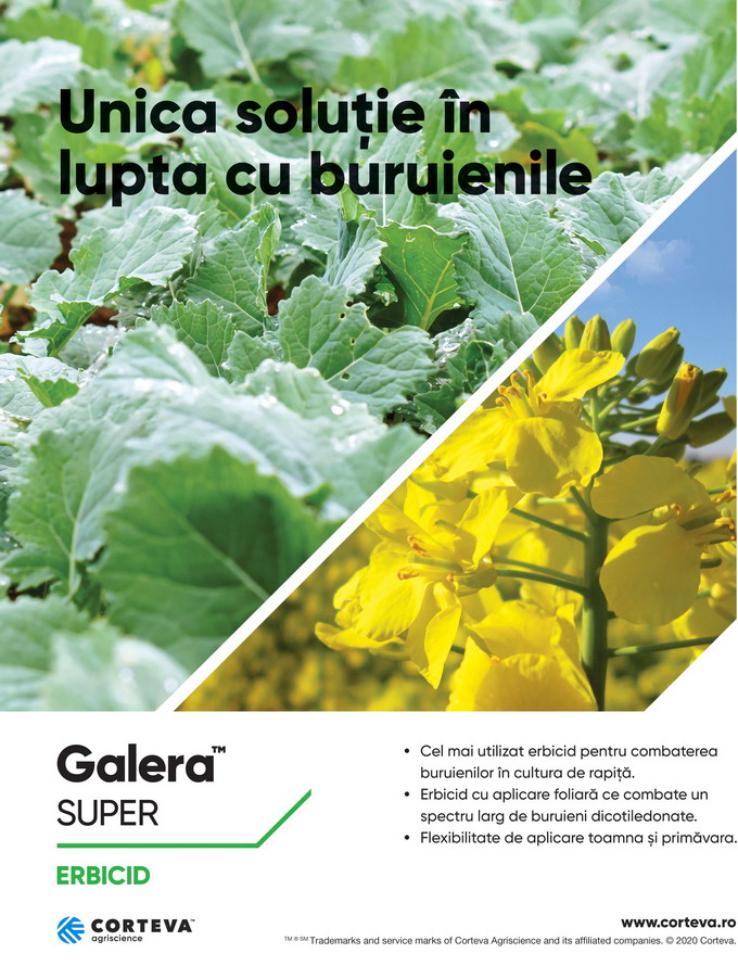 Galera Super - Macheta A4 New